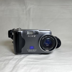 SONY サイバーショット DSC-W530 - ブラック - Etsy 日本