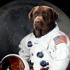 Custom Pet Portrait  Personalised Pet Dog NASA Astronaut Astronaut Dog Portrait Space Pet  Astronaut Dog Portrait gift for mother