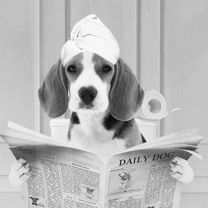 Custom Pet Portrait Photo Funny Bathroom Art Dog Reading Newspaper on Toilet Dog Wall Art Dog in Toilet Pet in Bathtub Personalized pet gift