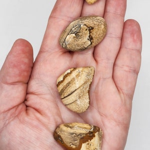 Tumbled Picture Jasper - tumbled stones - healing crystals and stones