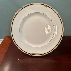 Wedgwood Bone China “ Clio” Dinner Plate. 10.75”