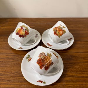 Set of 3 Bavaria Seltmann Weiden Fruit and Nut Fall Harvest teacup and Saucer