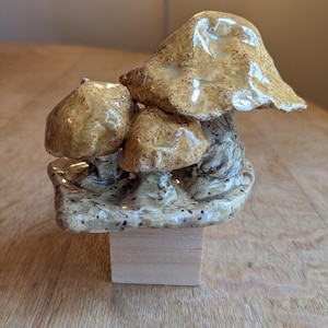 May include: A ceramic mushroom sculpture with three mushrooms clustered together. The mushrooms are a light brown color with a speckled glaze. The sculpture is sitting on a wooden base.