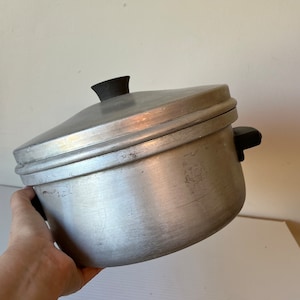 Peut inclure: Une casserole vapeur en aluminium argenté avec un bouton noir sur le couvercle et des poignées noires. La casserole a une seule couche de trous de vapeur.