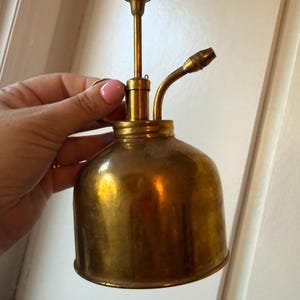 May include: A vintage brass oil can featuring a rounded body, a vertical pump plunger mechanism at the top, and a curved spout extending from the side. The metal surface displays a warm, aged patina with visible signs of wear and oxidation.
