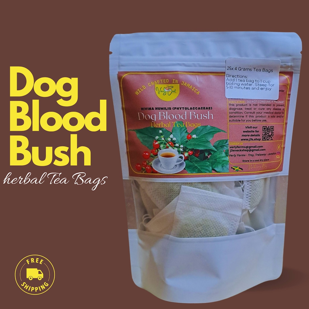 Dog Blood Bush Tea fertility Bush Rivina Humulis Tea - Etsy