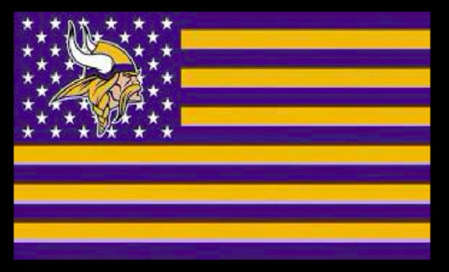 Minnesota Vikings American FLAG 3X5 Banner American Football NFL Double Sided