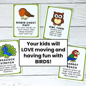 May include: Cards with bird-themed exercise instructions. Each card features a different bird illustration: a robin, owl, peacock, and parrot. Text on the cards includes "Robin Chest Puff," "Owl Turn," "Peacock Stretch," and "Parrot Reach."