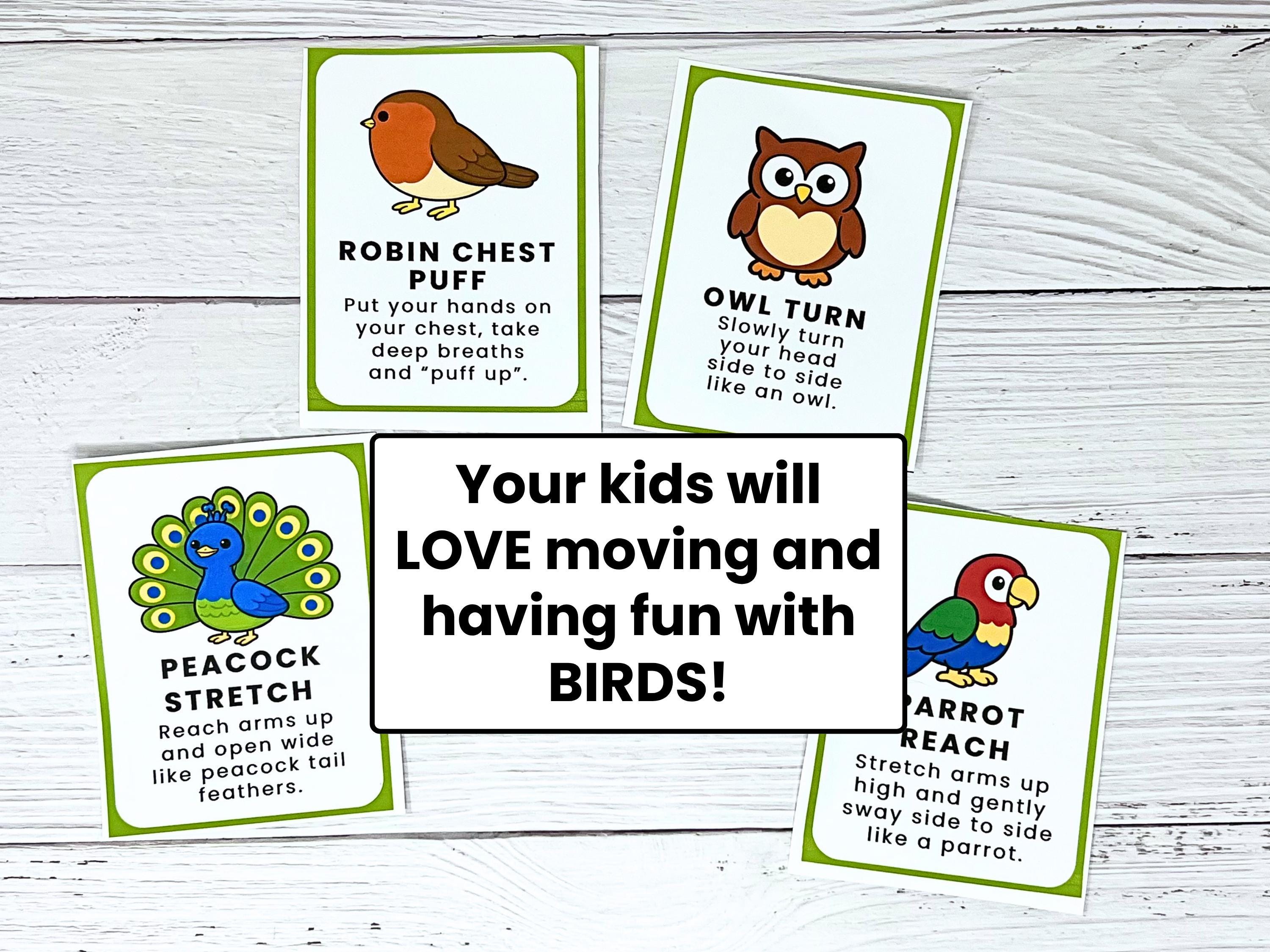 Bird Movement Cards for Kids Printable | Brain Breaks | Gross Motor ...