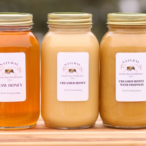 3 lb Jar, Minnesota Wildflower Honey Liquid Raw Honey Creamed Honey Propolis Honey Raw Unfiltered Organic honey