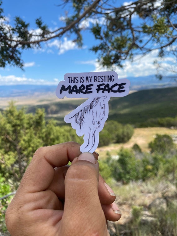 Mare Face Horse Sticker: Funny Sarcastic Gift