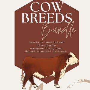Hereford Steer png western png bundel dierenvriend grafisch vee tonen clipart angus grafisch ontwerp cadeau voor koeliefhebber png koe ontwerp
