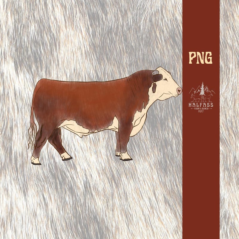Show Steer Clip Art - Etsy