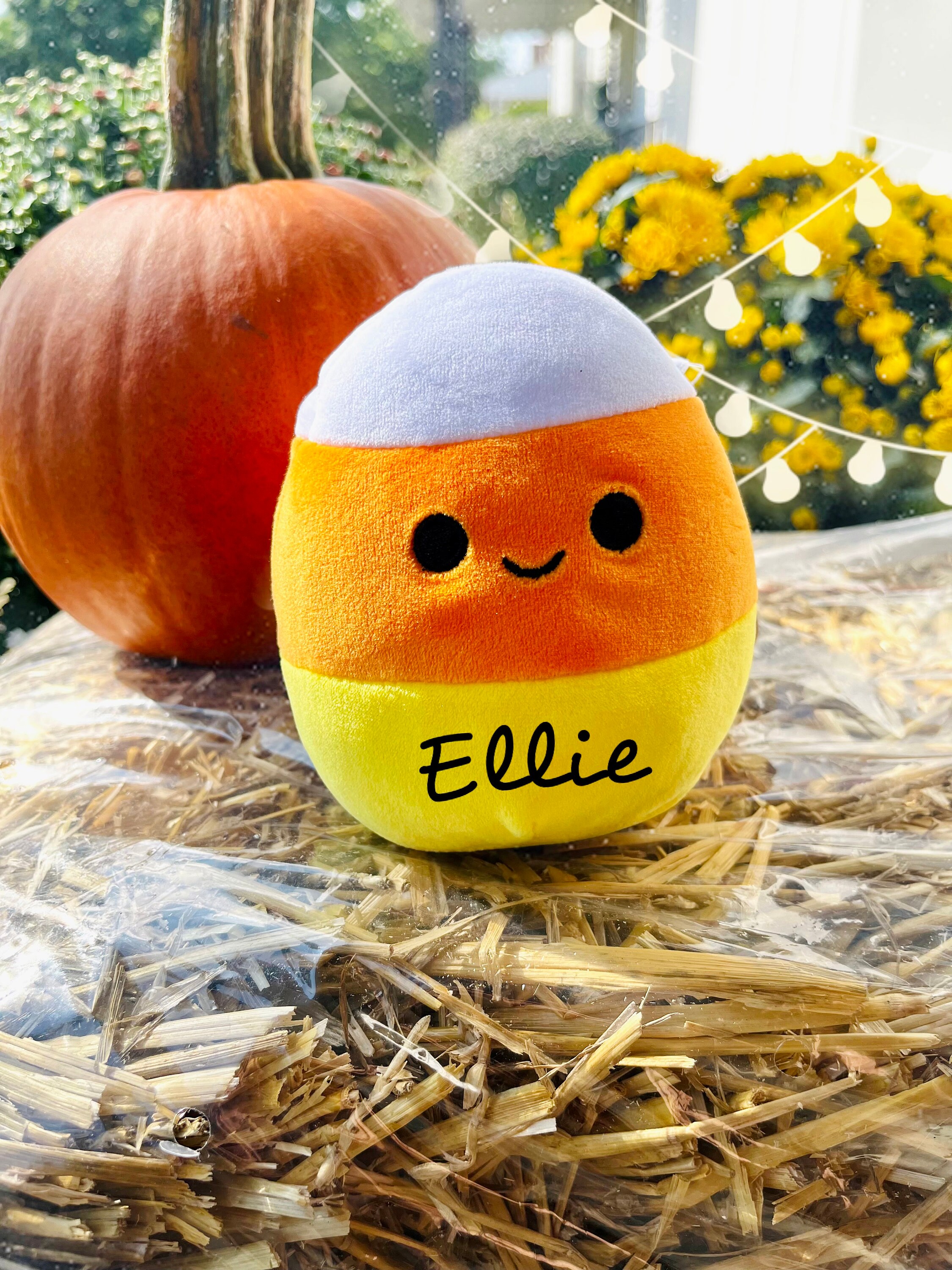 Mystery Halloween Squishmallow 16 - xf0sf51