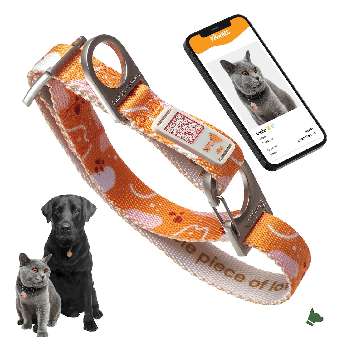 Pawdel Neocollar, Dog Collar, QR Code Dog Collar, QR Code Cat Collar