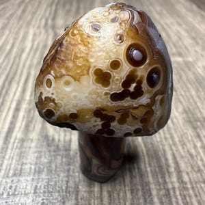 INCREDIBLE! Top quality Gobi Agate Mushroom. Very Rare!