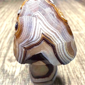 INCREDIBLE! Top quality Gobi Agate Mushroom. Very Rare!