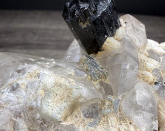 Large Black Tourmaline with Quartz Specimen!