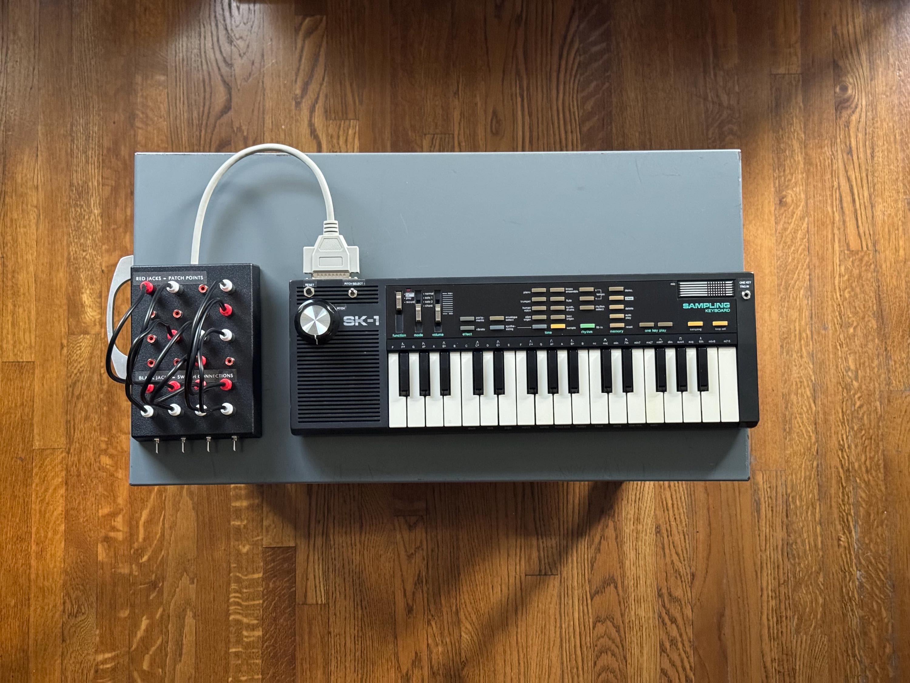 Casio Sk1 Keyboard - Etsy