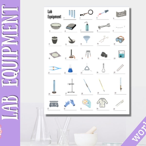 Printable Identifying Science Lab Equipment/Science Glassware/Science Apparatus/Worksheet & Key