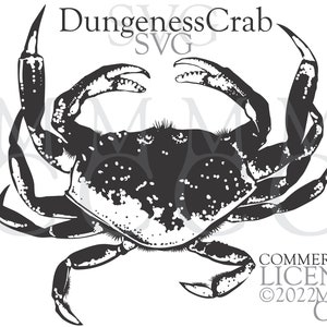 Dungeness Crab SVG PNG DXF for Commercial Use