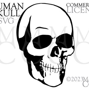 Human Skull SVG PNG DXF for Commercial Use