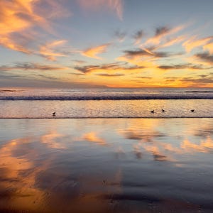 May include: A serene beach scene at sunset. The sky is filled with vibrant orange and yellow clouds, reflecting in the wet sand. Several birds stand in the shallow water, adding to the tranquil atmosphere.