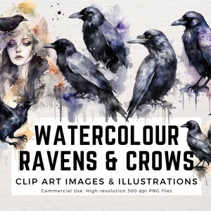 Ravens, Crows - Black Bird - Watercolor Art - Clipart Birds, Images & Watercolour Paint Swatches PNG format instant download