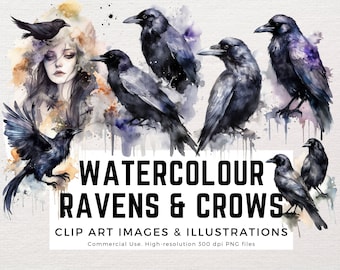 Ravens, Crows - Black Bird - Watercolor Art - Clipart Birds, Images & Watercolour Paint Swatches PNG format instant download