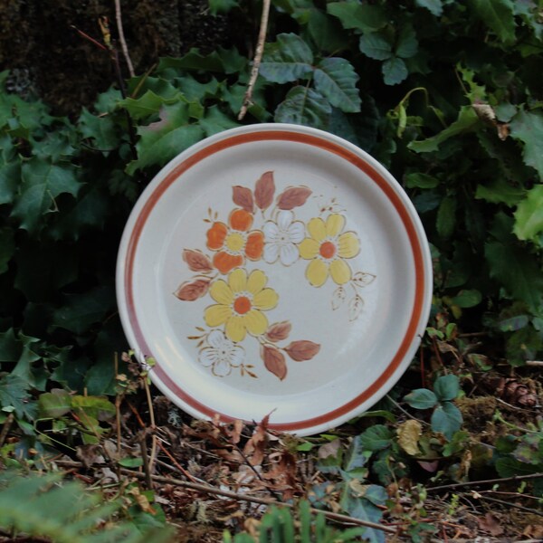 Dinner Plate Wildwood Autumn Collection Stoneware Vintage Floral 1970s brown trim flowers yellow and orange