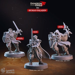 Human Paladin Miniature Fighter Champion Figurine Dungeons and Dragons Mini RPG Tabletop DnD Painting Pathfinder 5e D&D CastnPlay
