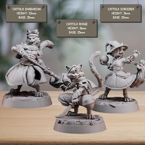 May include: Three grey Catfolk miniatures: a Barbarian with a staff, a Rogue with a hammer and dagger, and a Sorcerer holding a sphere. Each figure is on a 25mm base. The Barbarian is 33mm tall, and the Rogue and Sorcerer are 31mm tall.