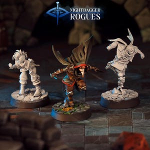 Rogue Miniature Human Thief Masked Blademaster Figurine Dungeons and Dragons Mini RPG Tabletop DnD Painting Pathfinder 5e D&D CastnPlay