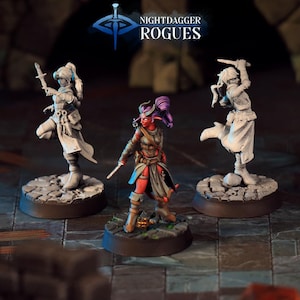 Tiefling Rogue Miniature Human Thief Hunter Figurine Dungeons and Dragons Mini RPG Tabletop DnD Painting Pathfinder 5e D&D CastnPlay