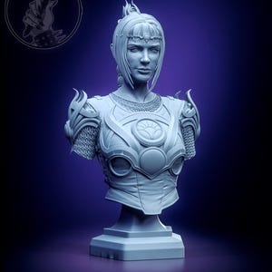 Statua busto Shadowheart, statuetta in miniatura, Dungeons and Dragons, miniatura da tavolo D&D, dipinto Pathfinder 5e D&D BG3, figura h3LL creator