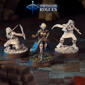 Elf Rogue Miniature Human Thief Blademaster Figurine Dungeons and Dragons Mini RPG Tabletop DnD Painting Pathfinder 5e D&D CastnPlay