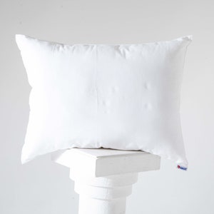 32x38 Synthetic Down Pillow Form Insert for Craft and Pillow Sham, Alternative Down,