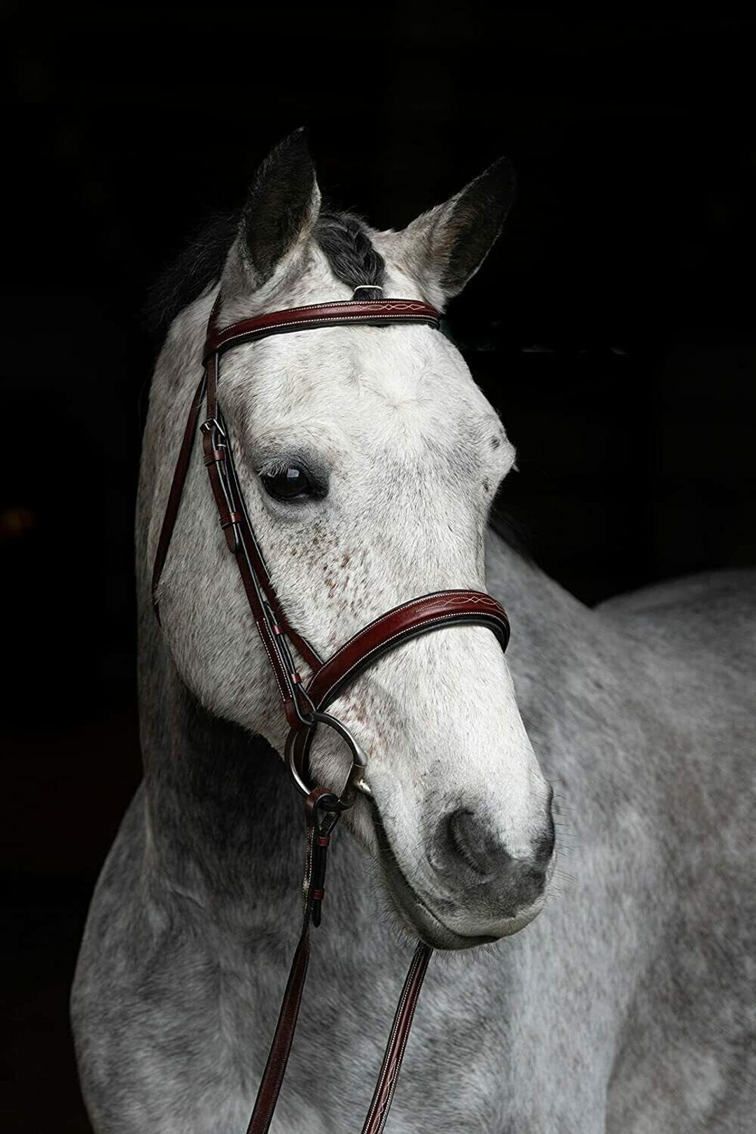 Black Leather Horse Bridle Browband Soft Padding Way Mouth Noseband in