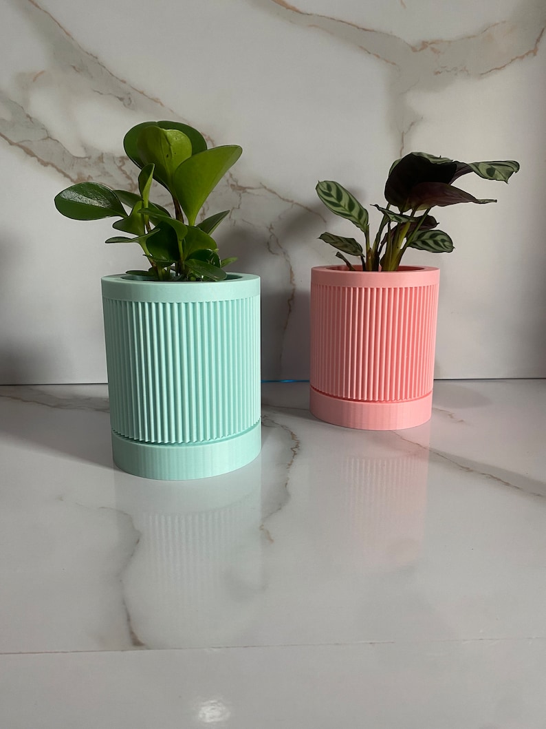 Puede incluir: Dos plantas en macetas en macetas de cer&aacute;mica con nervaduras. La planta de la izquierda est&aacute; en una maceta azul claro y la planta de la derecha est&aacute; en una maceta rosa.