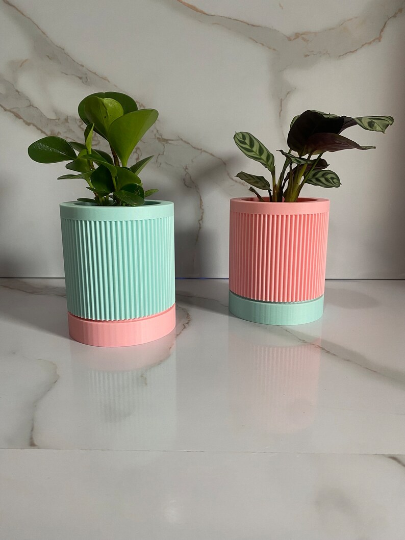 Puede incluir: Dos plantas en macetas de color rosa pastel y azul claro con un dise&ntilde;o acanalado. Las plantas son de estilo moderno.
