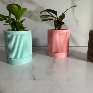 Puede incluir: Tres macetas cil&iacute;ndricas con dise&ntilde;os acanalados. Las macetas son azul claro, rosa y marr&oacute;n oscuro. Cada maceta tiene una planta creciendo dentro.