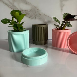 Puede incluir: Tres macetas de plantas acanaladas en diferentes colores: azul claro, verde oscuro y rosa. Las macetas est&aacute;n hechas de un material texturizado y tienen una forma ligeramente redondeada. La maceta azul claro tiene un platillo a juego.