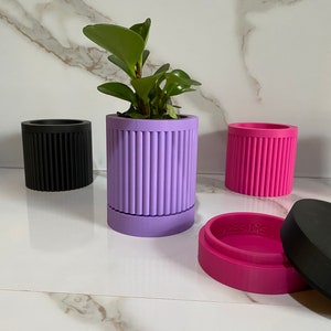 Indoor Planter Pot with Drainage | 3D Printed | Succulent Planter Pot withDrip Tray | Home Decor | Indoor Plant Holder | Cute Plant Pot