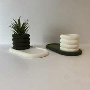 May include: Two ribbed oval planters, one white and one green, with a small green succulent plant in the white planter.