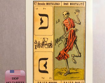 Cartas del Tarot Catalán, Baraja Vintage de 80 Cartas para Profesionales y Coleccionistas