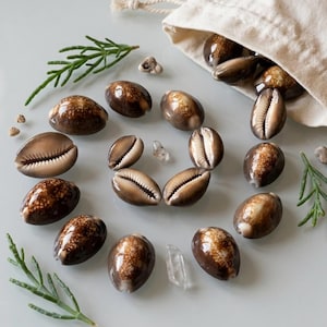 Könnte beinhalten: Eine Sammlung polierter brauner Kaurimuscheln, die in einem Spiralmuster auf einer hellen Oberfläche angeordnet sind. Einige Muscheln fallen aus einem kleinen beigen Stoffbeutel mit Kordelzug. Kleine grüne Zweige und Quarzkristalle liegen dazwischen.