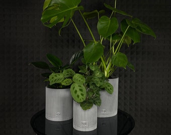 Concrete planter | pot cover | Round minimalistic concrete planters | Planter pots