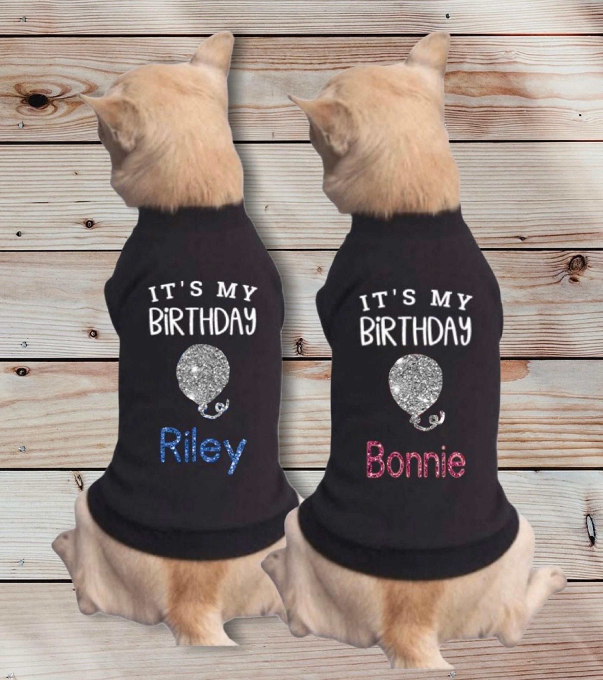 Zuli Kids Dog Themed Birthday Party Outfit