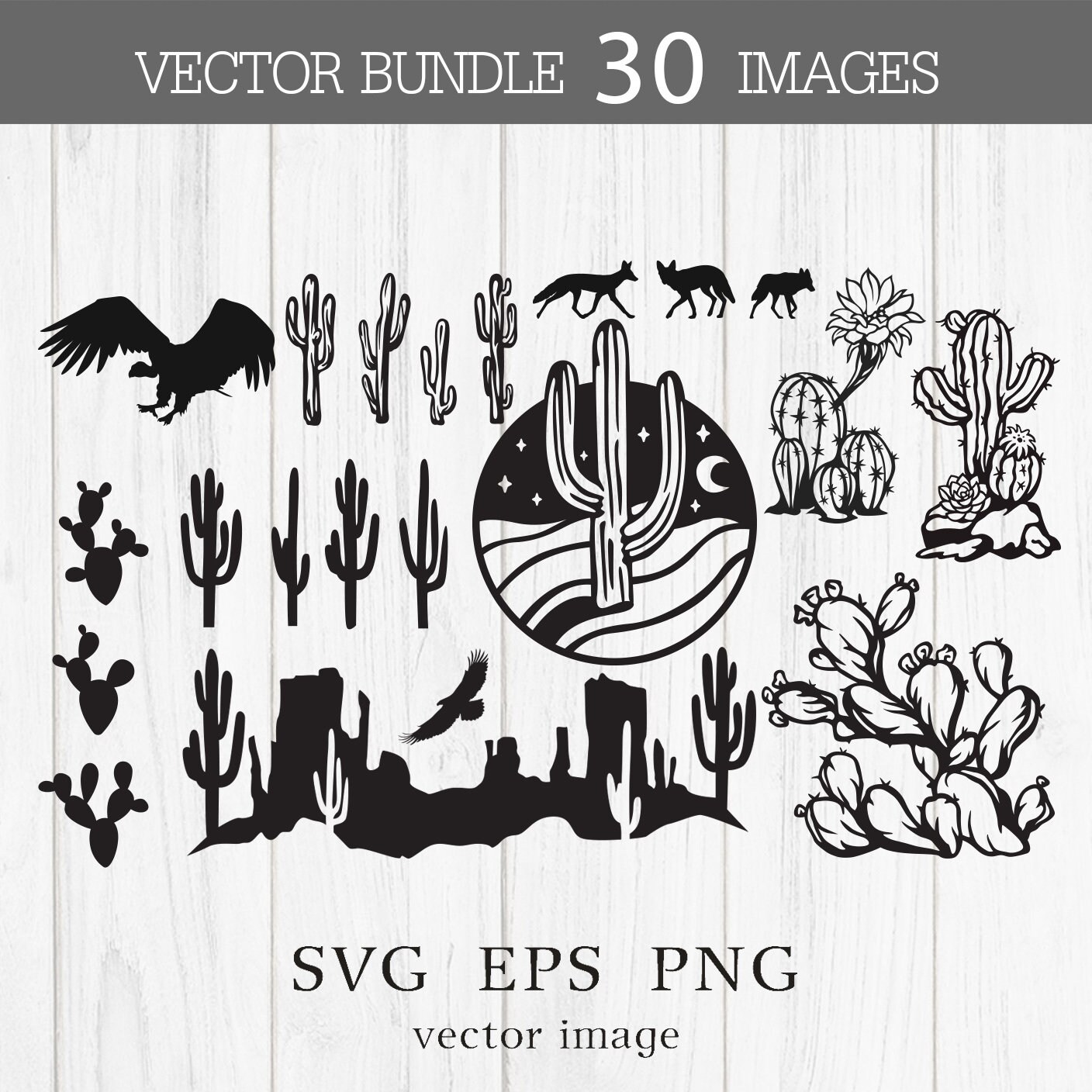 Lizard Cactus Desert Cut Out Black PNG & SVG Design For T-Shirts