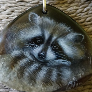 A Raccoon